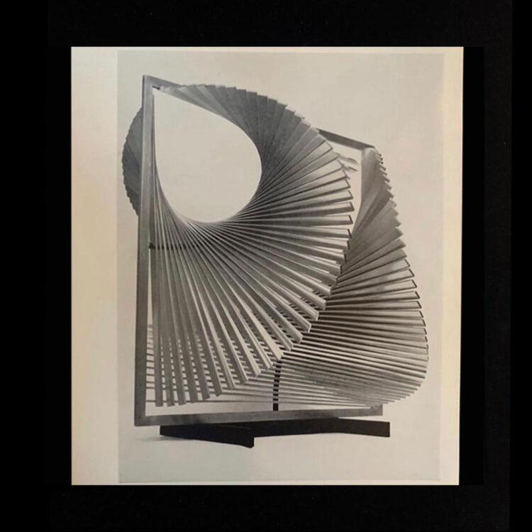 VIII Bienal de San Pablo - Brasil - Imagen 2