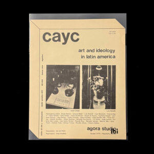 Art And Ideology In Latin America