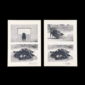 Serie Pancartas