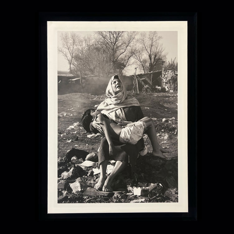 La Piedad Latinoamericana