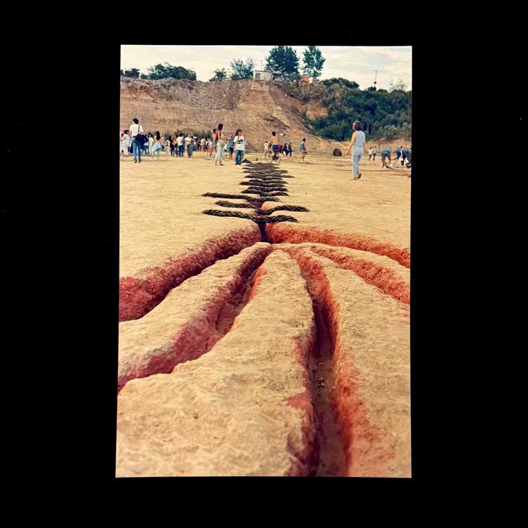 Sutura